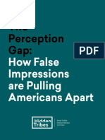 Perception Gap Report