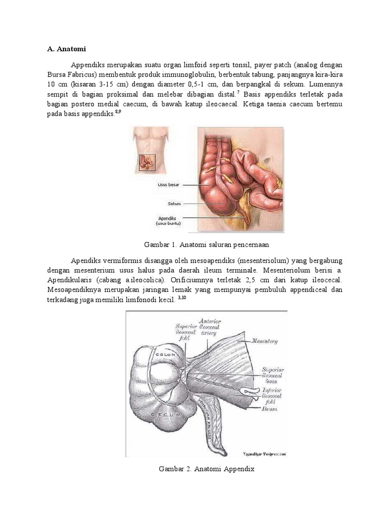Apendiks | PDF