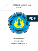 TUGAS PROKADO - Dandi Anggara 19741021-WPS Office