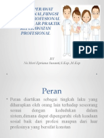 Peran Perawat Profesional, Fungsi Perawat Profesional Dan Standar