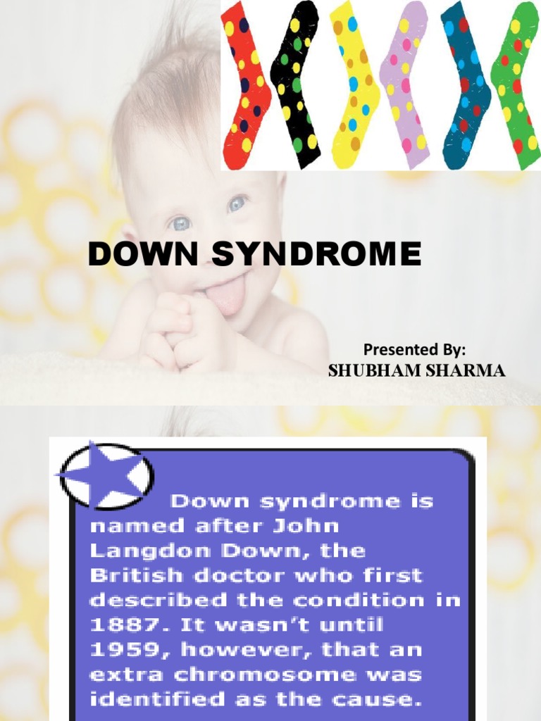 Shih Tzu And Down Syndrome A Comprehensive Overview - oqzv3l5