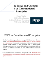 Economic Social and Cultural Rights As Constitutional Principles