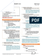 Renal Physiology Functions