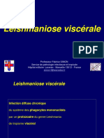 3 MT Leishmaniose Viscérale Gabon FS 220113 VD