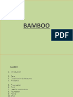 Bamboo