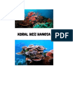 Koral Hesi Handia