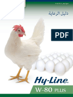 HY_LINE