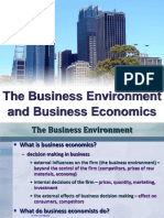 The Business Environment and Business Economics