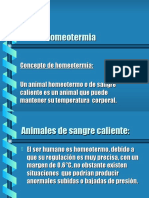 Homotermia