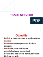 Tissu Nerveux Partie 1