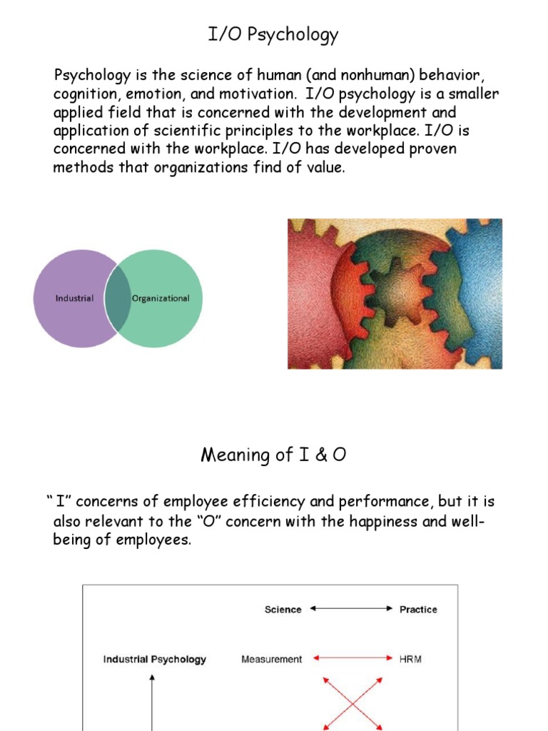 IO Psychology Lecture 1 PDF Industrial And Organizational