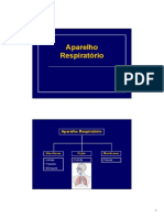 Aparelho respiratório: vias aéreas e órgãos