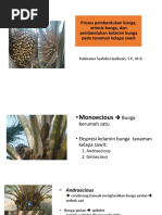 Qora tanli Kelli Star bilan unutilmas samimiy orgiya