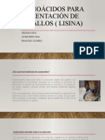 Aminoácidos para Alimentación de Caballos (Lisina)