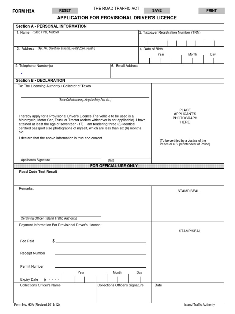 Provisional Driver's Licence Application Form | PDF | Driver's License ...