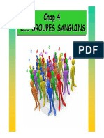 Groupes Sangain