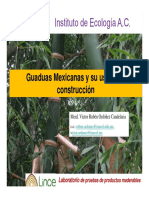 Bambues Mexicanos para La Construccion