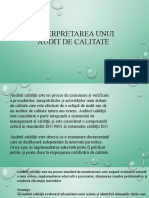 Interpretarea Unui Audit de Calitate