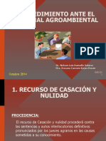 6.- PROCEDIMIENTO ANTE EL TRIBUNAL AGROAMBIENTAL