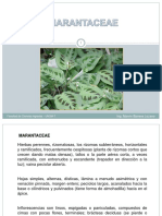 Tema 7. Familia Marantaceae