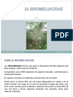 Tema 5. Familia Bromeliaceae