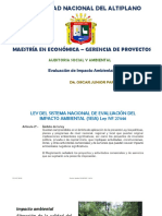 Universidad Nacional Del Altiplano: Maestría en Económica - Gerencia de Proyectos