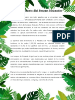 Los Componentes Del Bosques Panameños