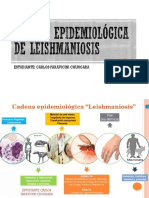 Cadena Epidemiológica de Leishmaniosis 1