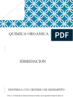 3.- HIBRIDACION