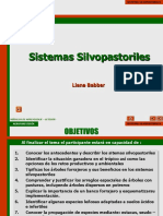 Submodulo 11 Sistemas Silvopastoriles