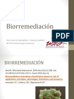 1.6 Biorremediación 2019