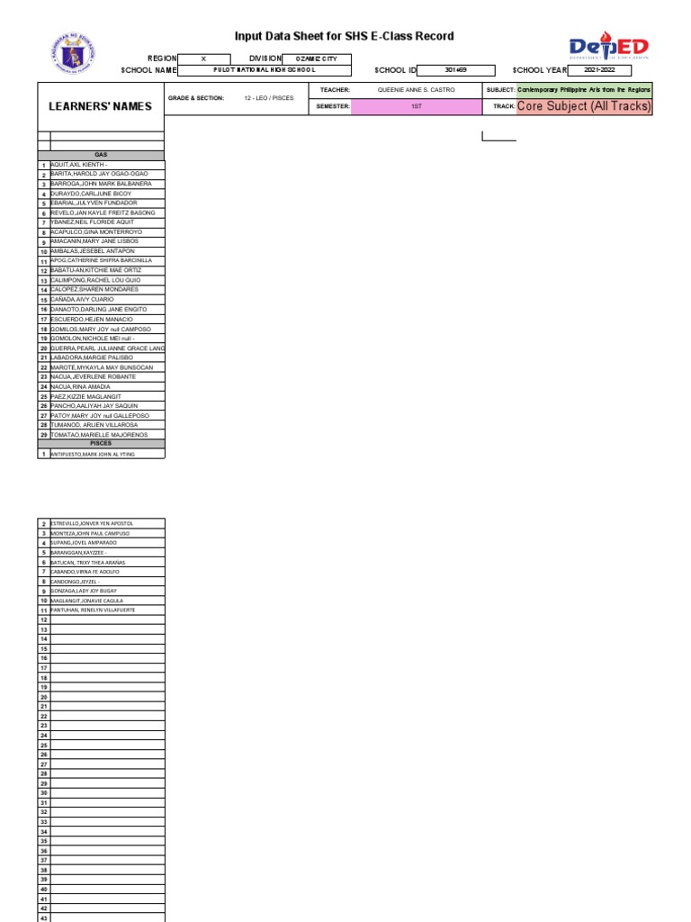 Input Data Sheet For SHS E-Class Record: Learners' Names | PDF