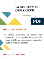 How Society Is Organized-Social Groups