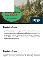 Metabolit Primer dan Sekunder