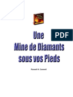 Une Mine de Diamants Sous Vos Pieds