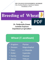 Crop Improvement of Wheat