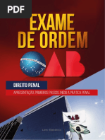 Inicio A Prática Penal - Primeiros Passos