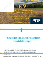 Agricultural Crop Production - Horticulture: (Prepare Land For Planting Vegetable Crops) 2 Quarter - 2021/2022