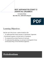 1.attachment Apparatus (Part I) Periodontal Ligament