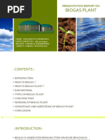 Biogas Plant: Presentation Report On