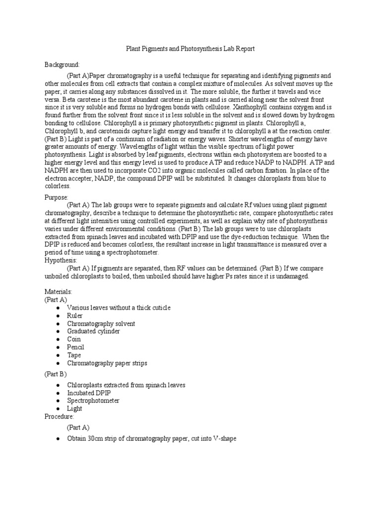 Plant Pigments And Photosynthesis Lab Report Chlorophyll Photosynthesis