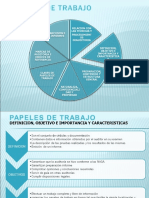 Revisoria Fiscal Papeles de Trabajo