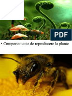 Comporta Mente de Reproducere La Plante