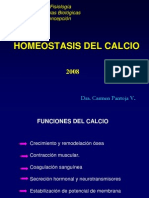 Homeostasis del calcio y regulación hormonal