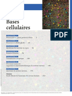 Neurosciences A La Découverte Du Cerveau - (1re Partie - Bases Cellulaires)