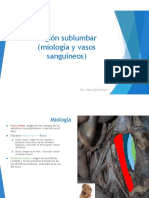 Sublumbar PDF