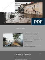 Flood S: Maria Inês Dantas #11º Oral Presentation