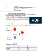 Unidades Finales