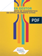 IDEA GESTOR: Diagnóstico do Sistema de Garantia de Direitos do Idoso