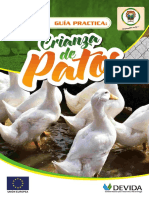 Manual Patos